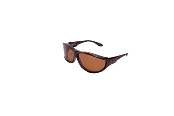 HAVEN Malloy M/L tortoise brown lens